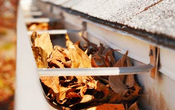 Holly Bush gutter cleaning companies