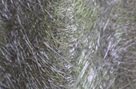 Holly Bush fibreglass roof work