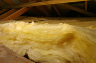 Holly Bush pitch roof insulation