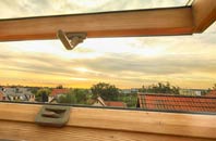 rated Holly Bush roof window companies